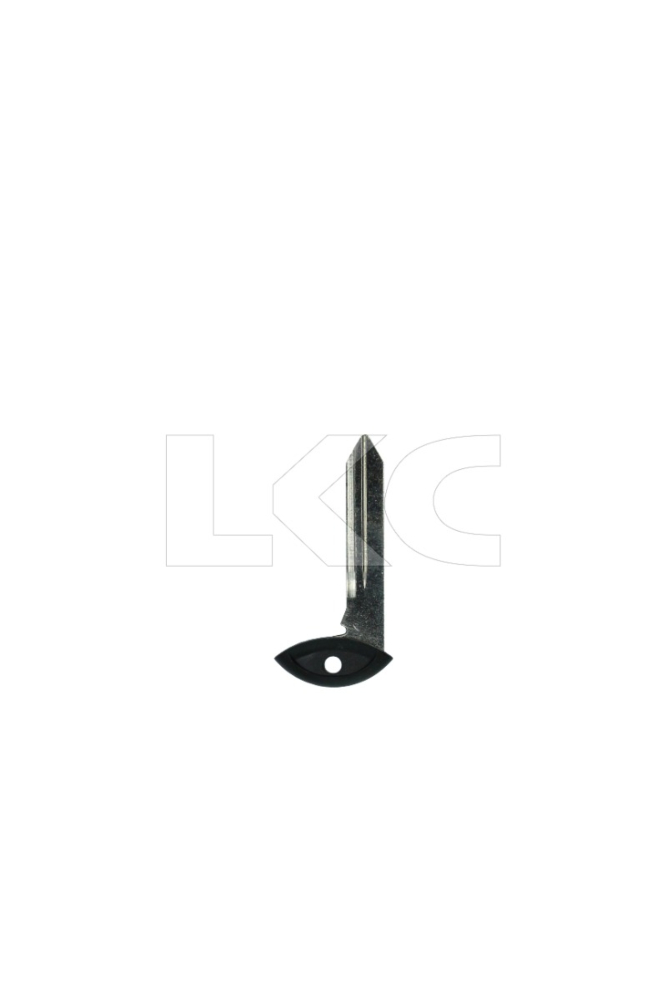 Chrysler/Dodge/Jeep Fobik Insert-1